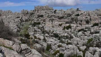 A rocky landscape with uneven terrain and sparse vegetation.