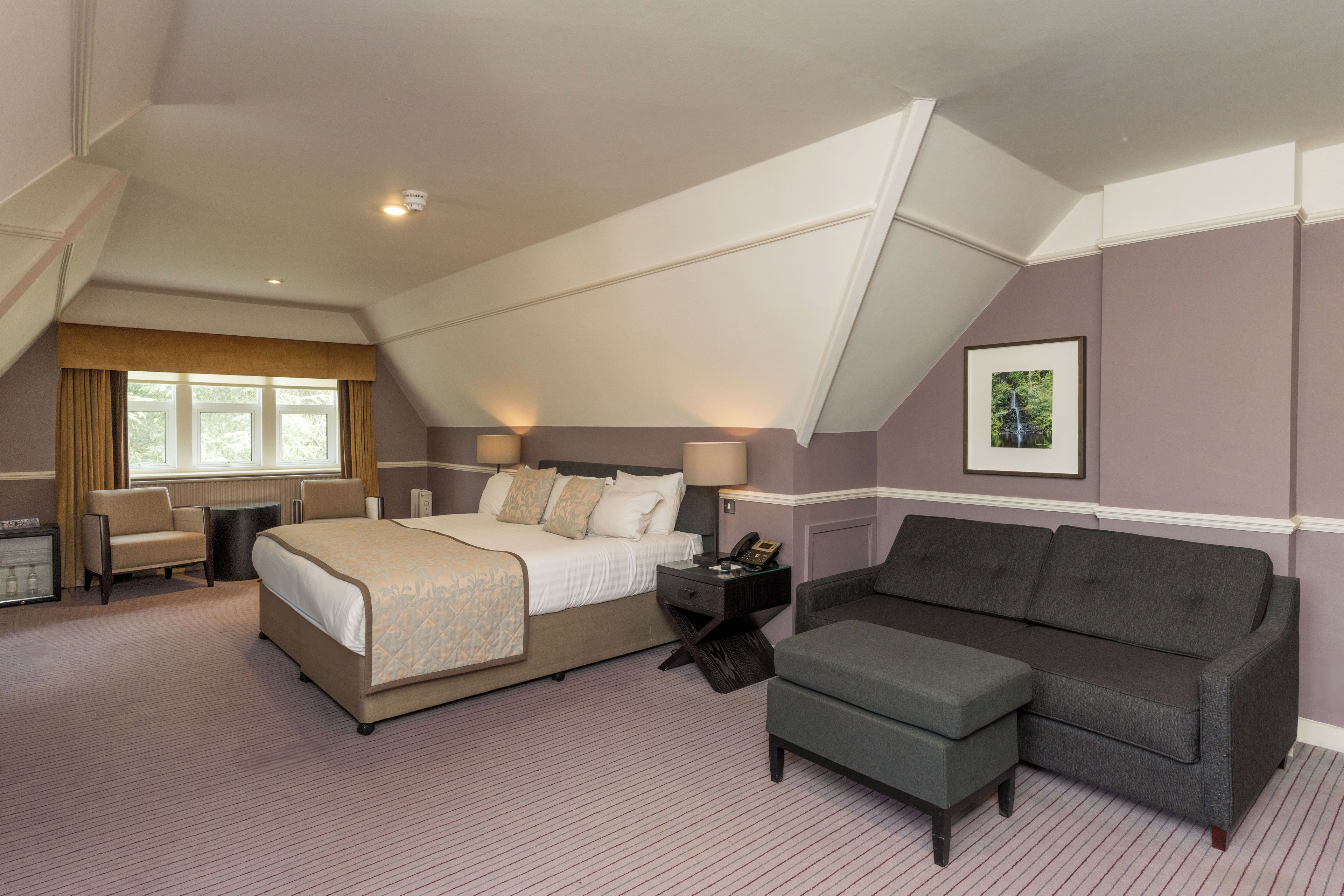 A hotel room with a bed, a desk, a chair, a sofa, and a framed picture on the wall.