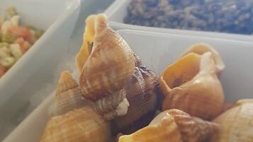 Diversas conchas marinas exhibidas en recipientes.