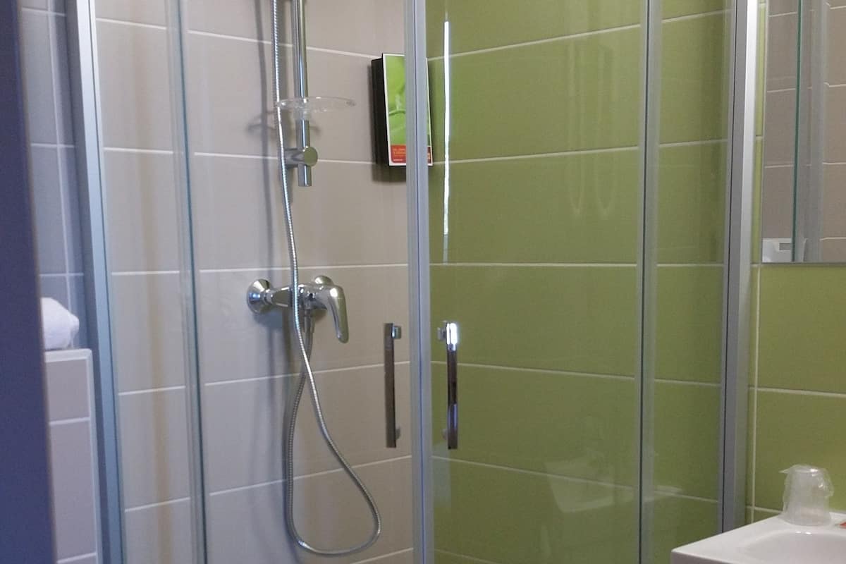 shower, free toiletries, hair dryer, towels