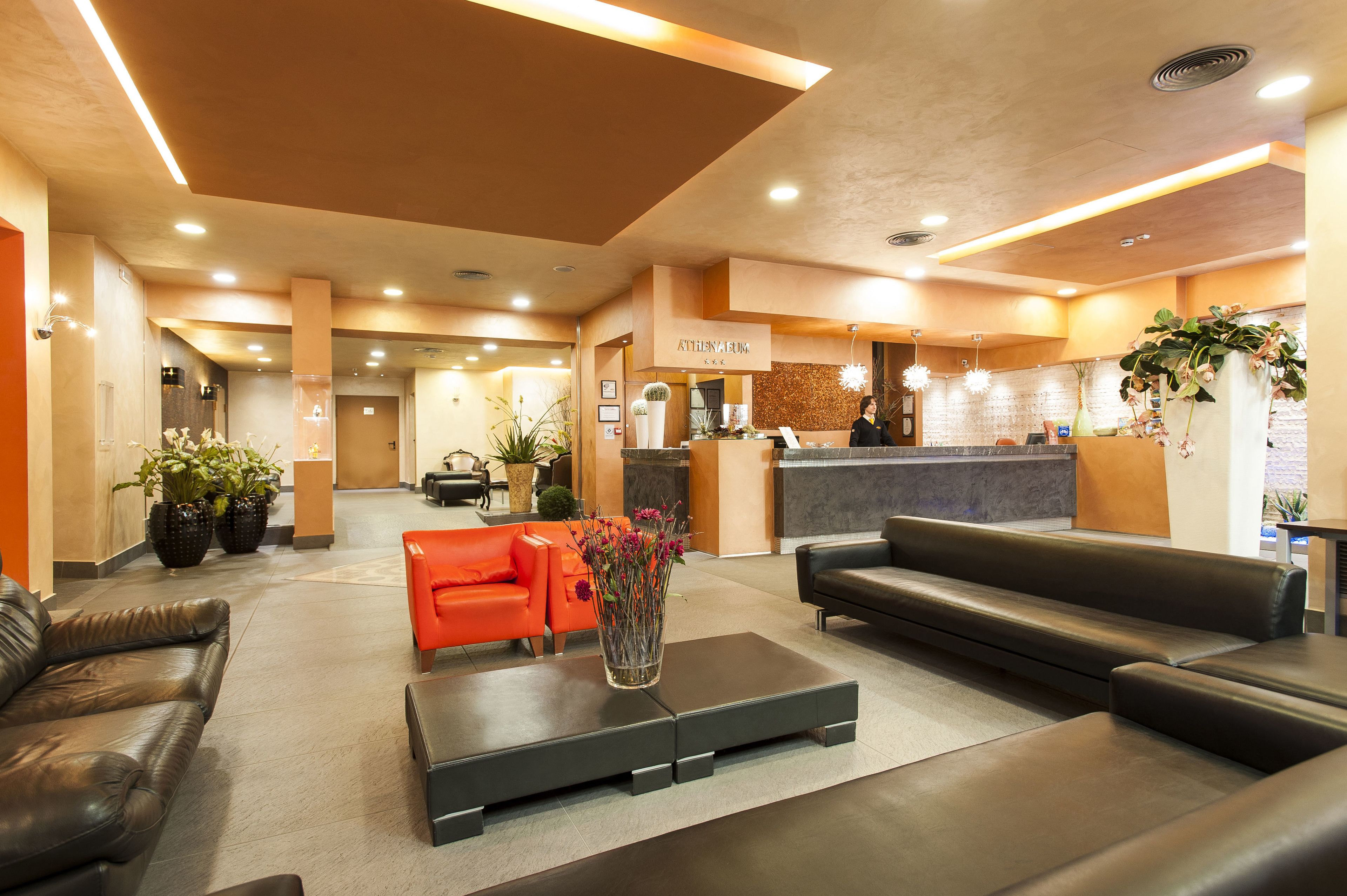 Photo - Albergo Athenaeum