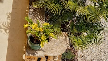 Jardín