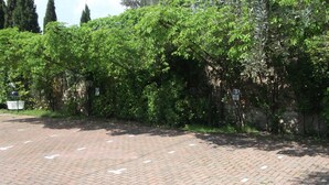 A paved parking area with a brick pattern, surrounded by dense green foliage and trees. - Delle Rose (Torri del Benaco)