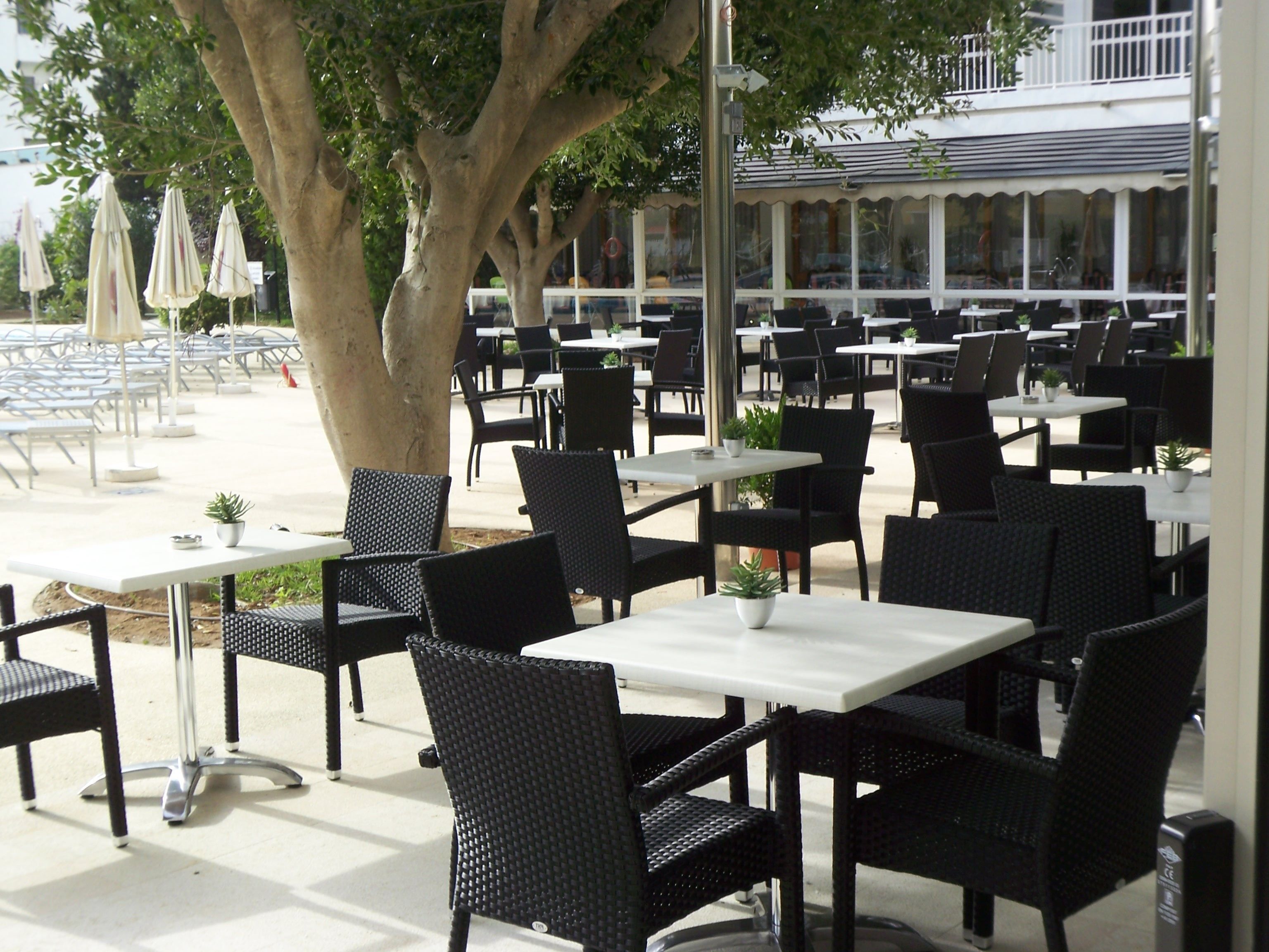 An outdoor cafe with tables and chairs, a large tree, and umbrellas.