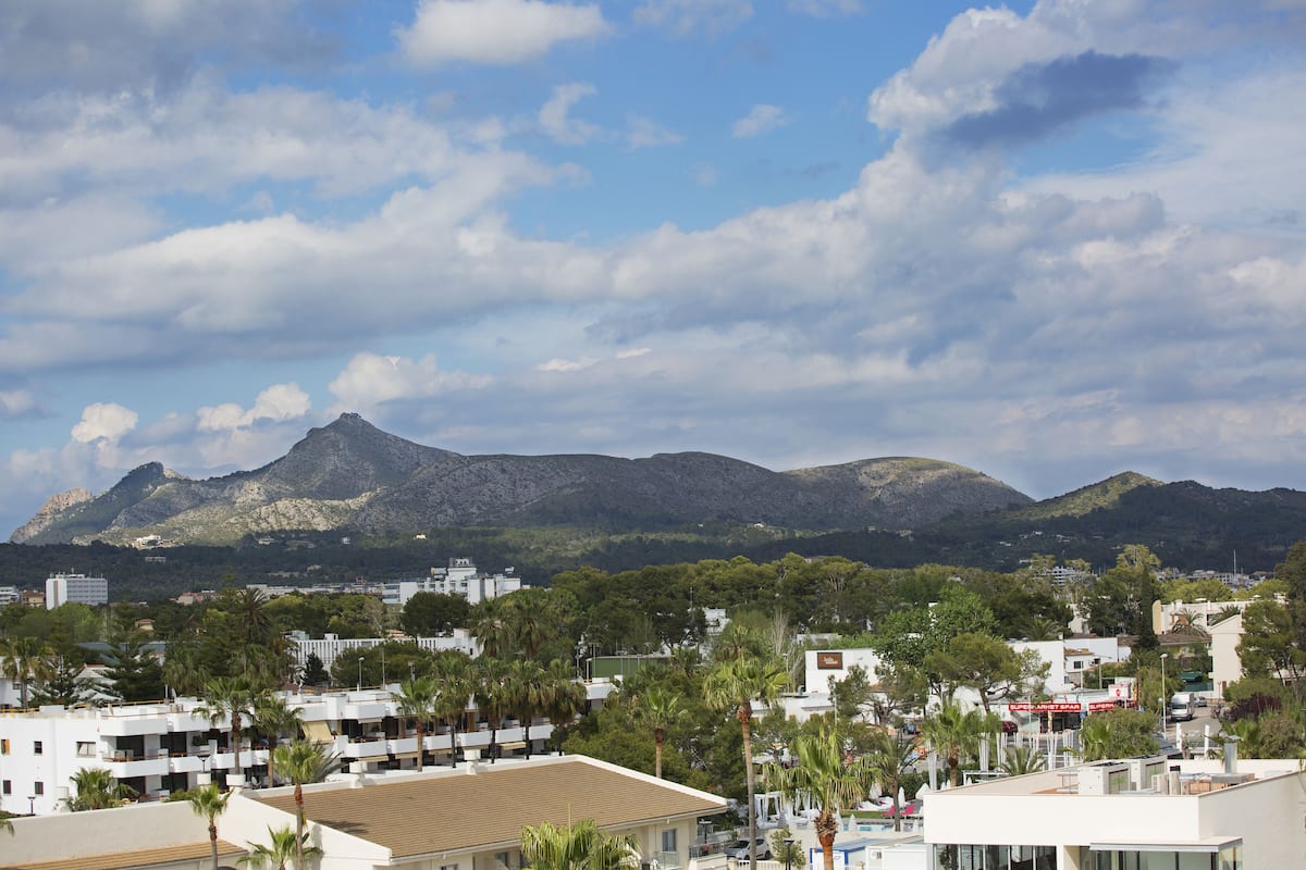 A coastal town with modern buildings, palm trees, and a mountain in the background.