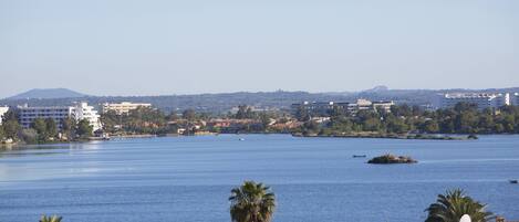 A coastal cityscape with a large body of water, buildings, and palm trees.
