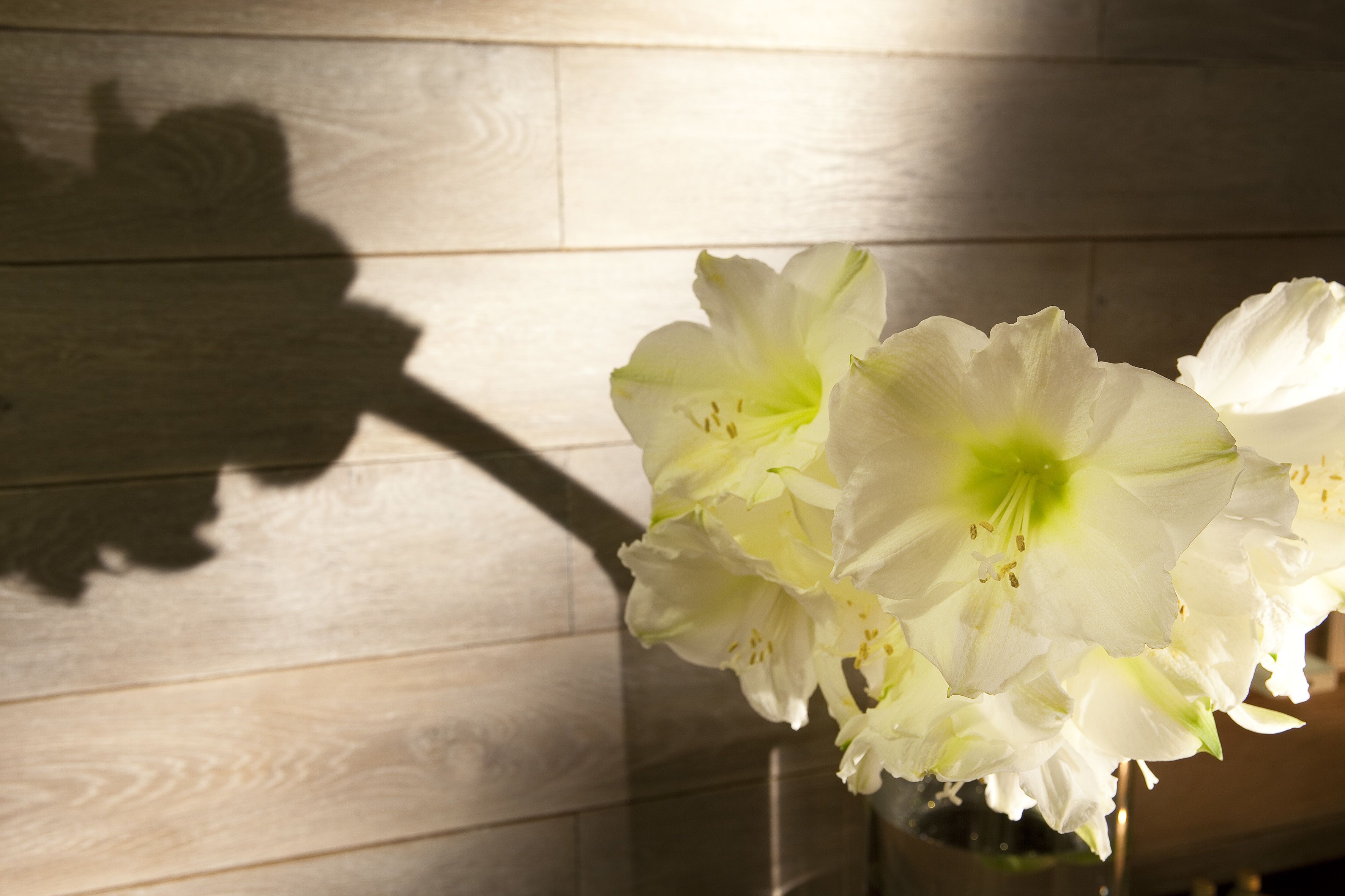 Un arreglo floral blanco sobre una superficie de madera.