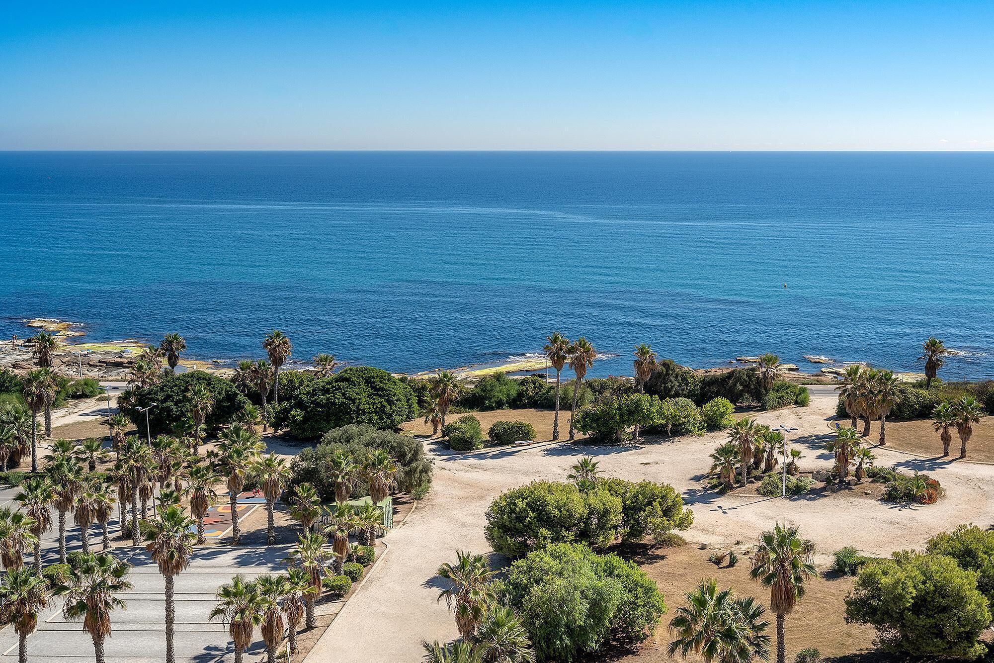 A coastal view with palm trees and a clear sky.