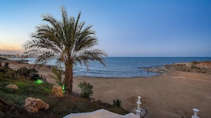 A beach with a palm tree, rocky shoreline, and a clear view of the ocean.