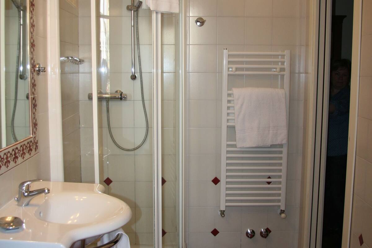standard double or twin room | bathroom | shower, free toiletries, hair dryer, bidet
