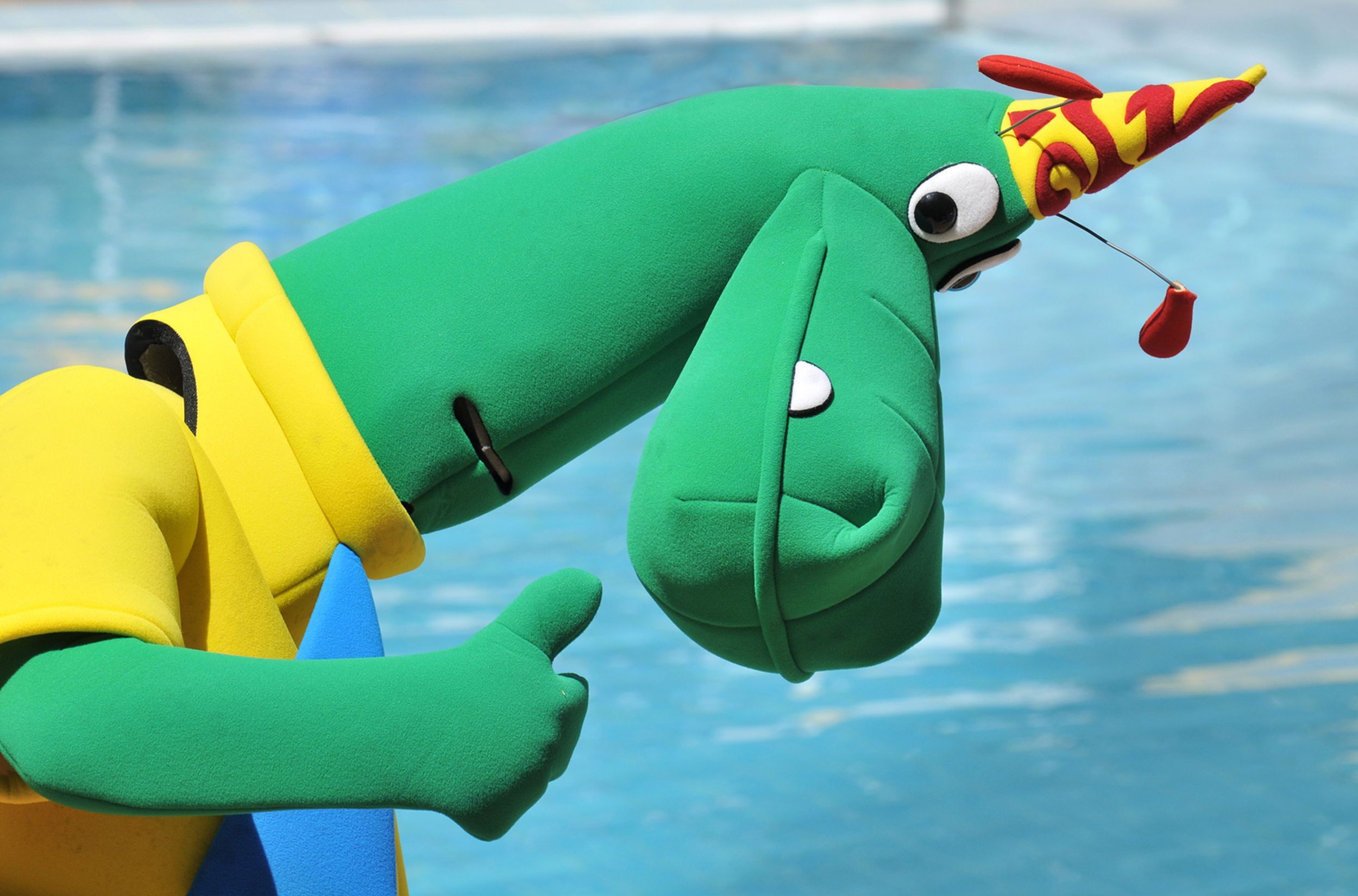 Un peluche accanto a una piscina.