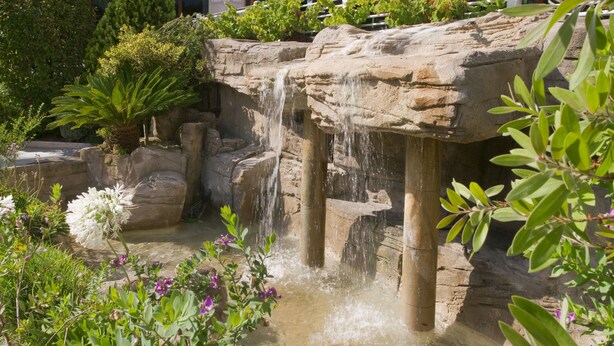 Une cascade d’eau se déversant sur une formation rocheuse, le tout étant entouré d’une végétation luxuriante et de plantes en fleurs.