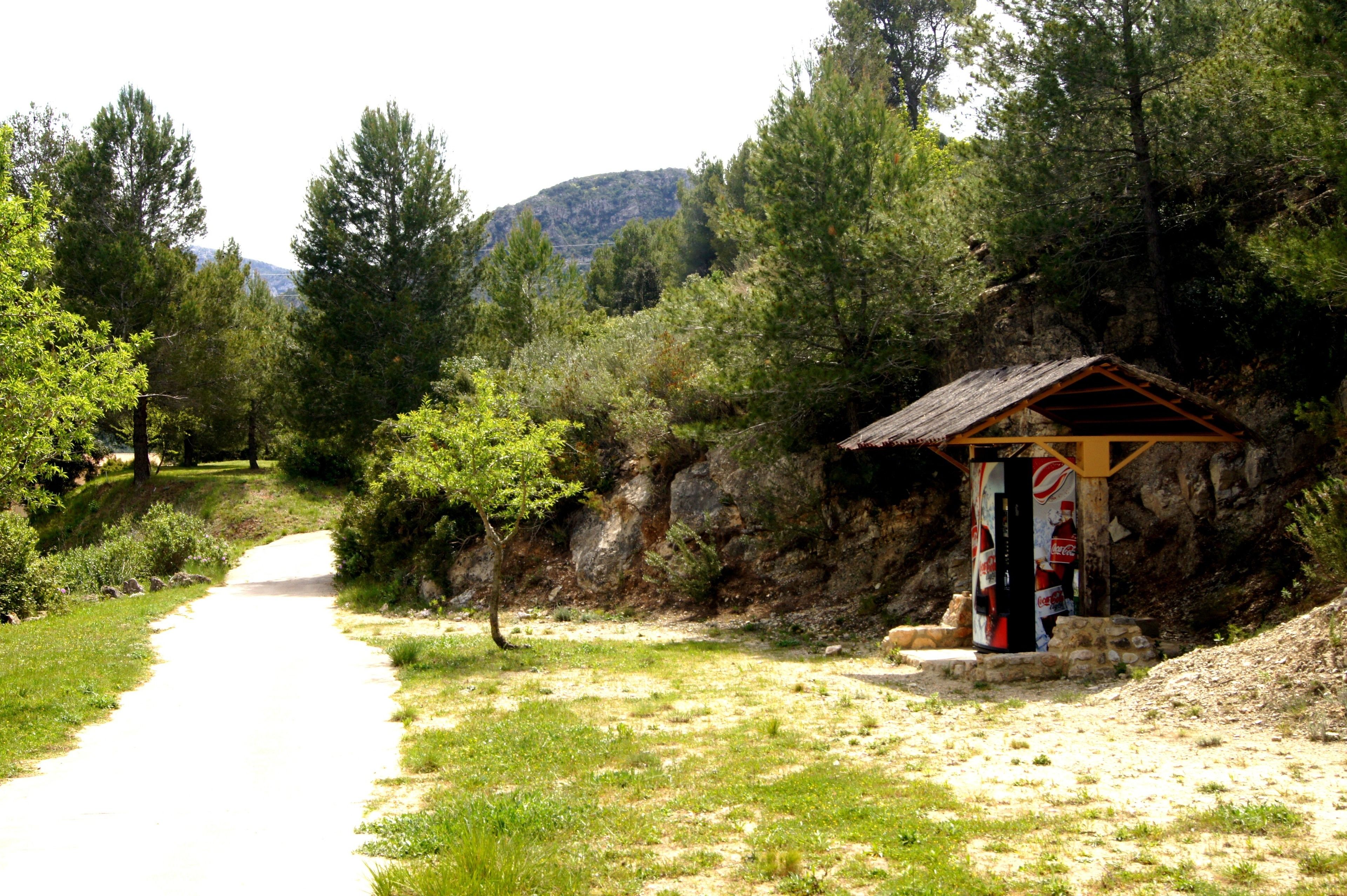 Un refugio de madera rústico con un letrero, rodeado de un bosque denso y un sendero de tierra que se adentra entre los árboles.