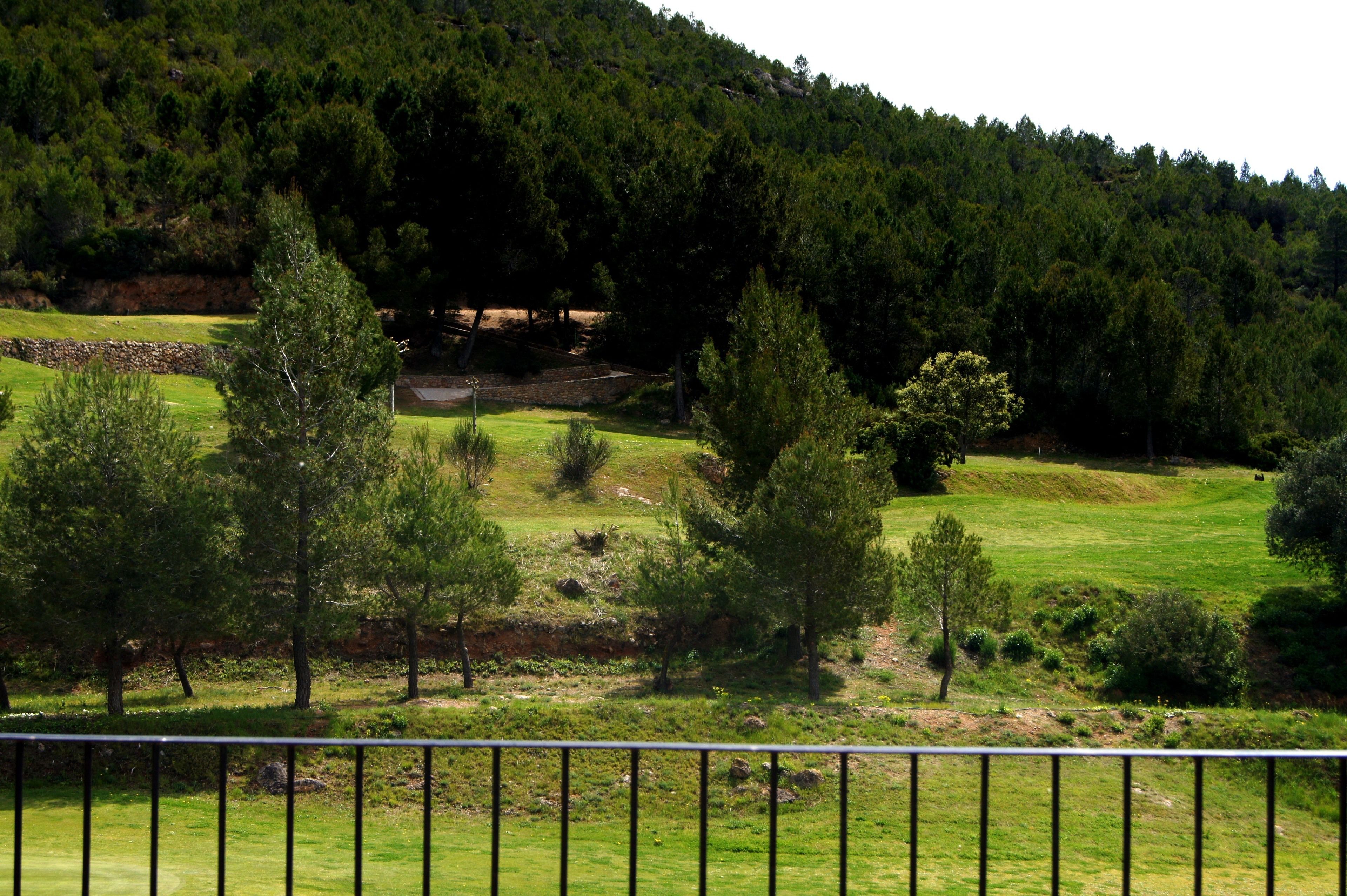 Vista de un campo cubierto de hierba, con árboles y un muro de piedra.