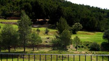 Vista de un campo cubierto de hierba, con árboles y un muro de piedra.