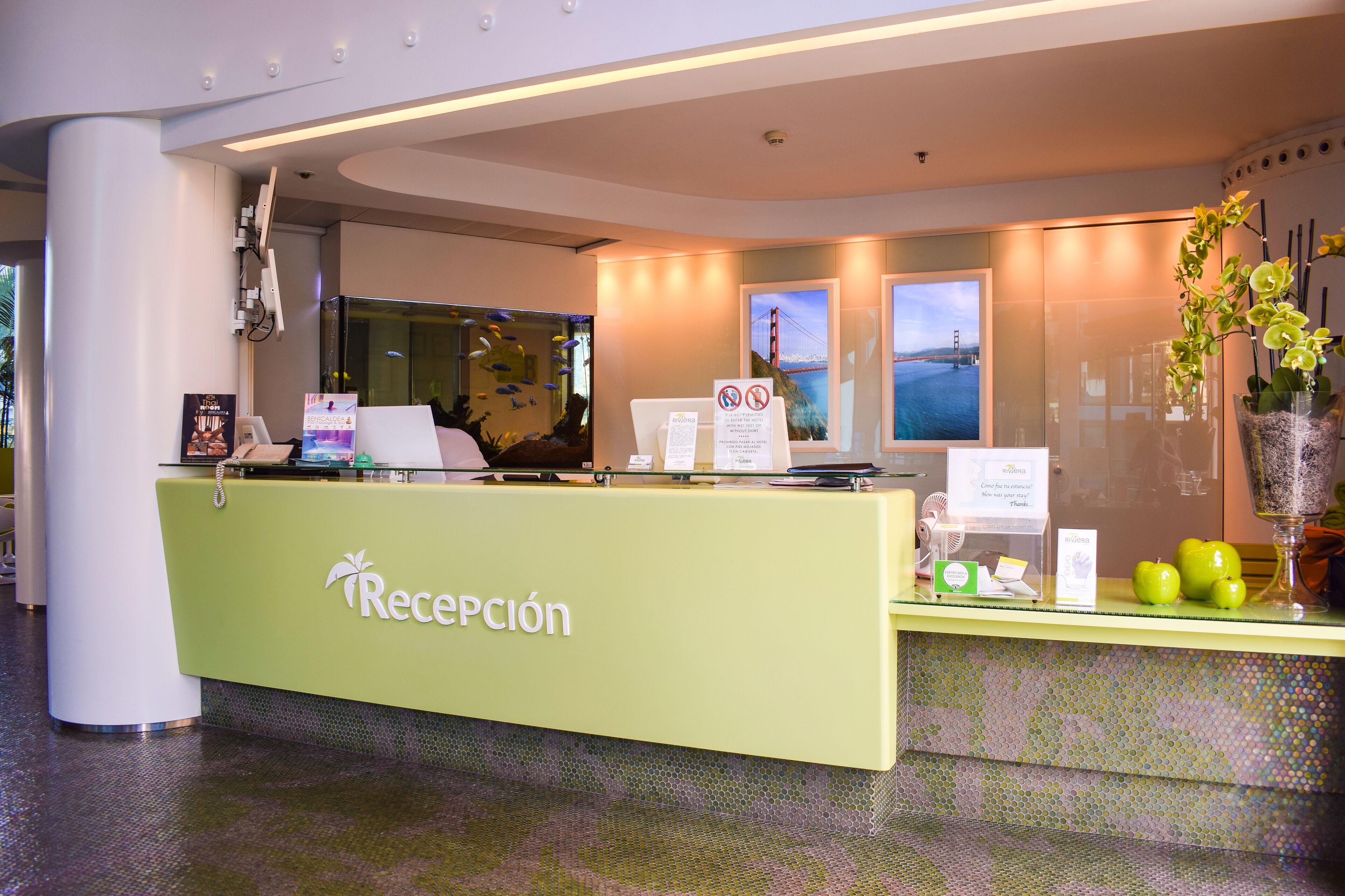 Photo - Riviera Beachotel - Recommended for Adults