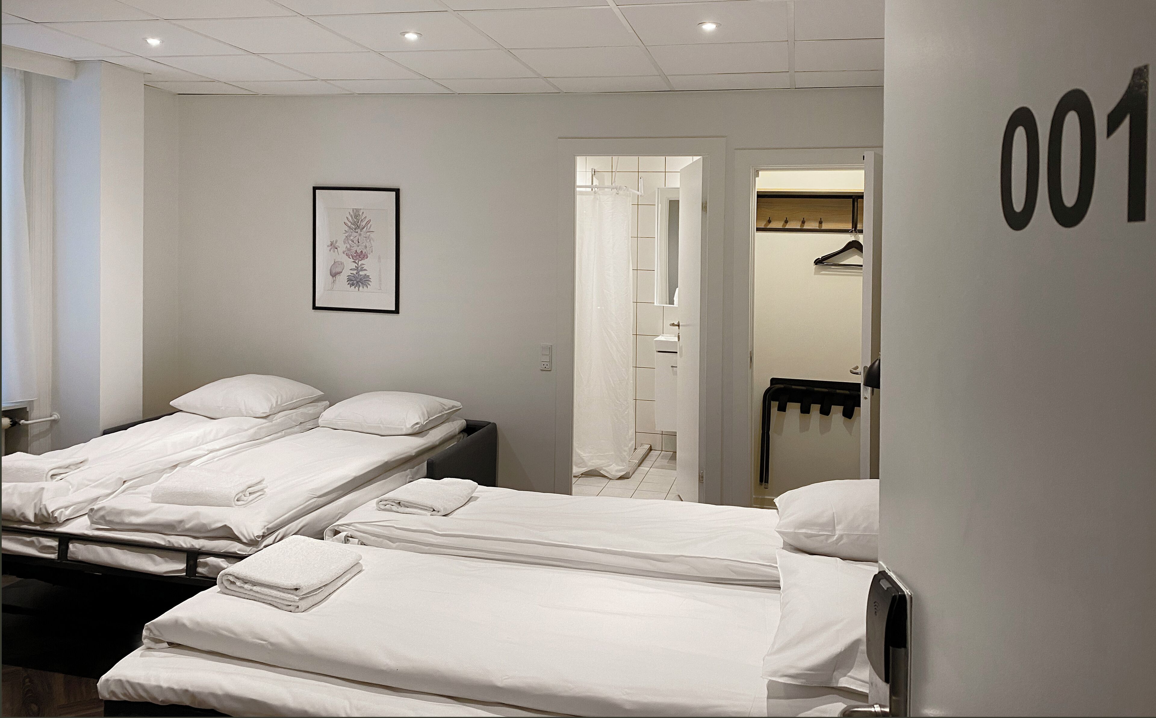 Quadrupla Standard, bagno privato (2 Twin Beds and 2 Sofa Beds) | Una scrivania, ferro/asse da stiro, Wi-Fi gratuito, lenzuola