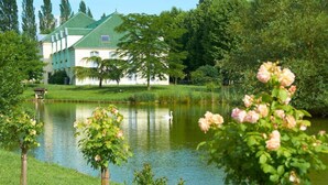 Front of property - Hotel Restaurant le Rive Gauche (Joigny)
