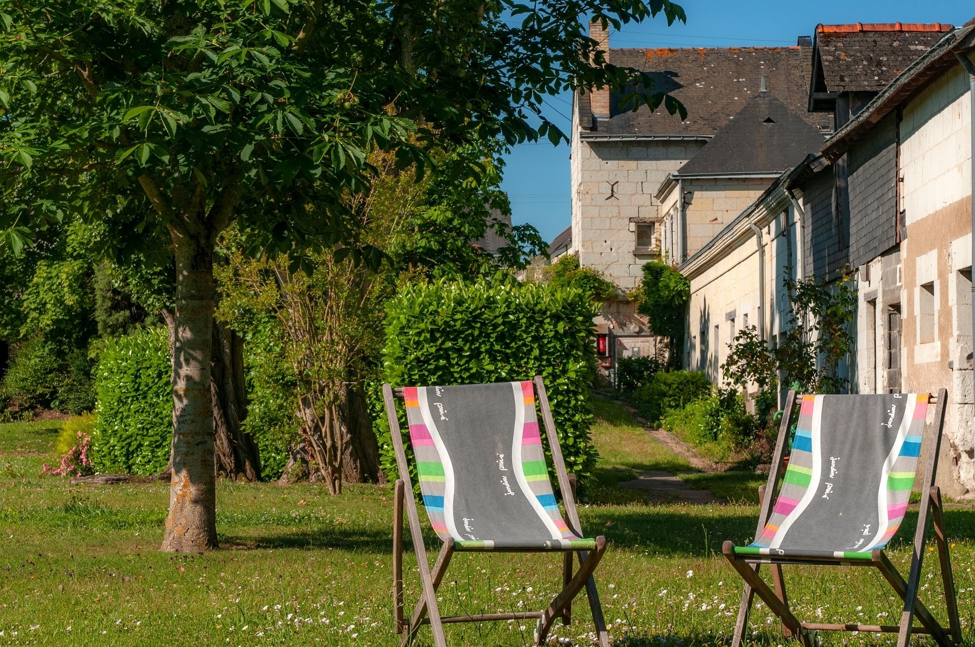 Two outdoor chairs with colorful cushions in a grassy area with trees and a building in the background.