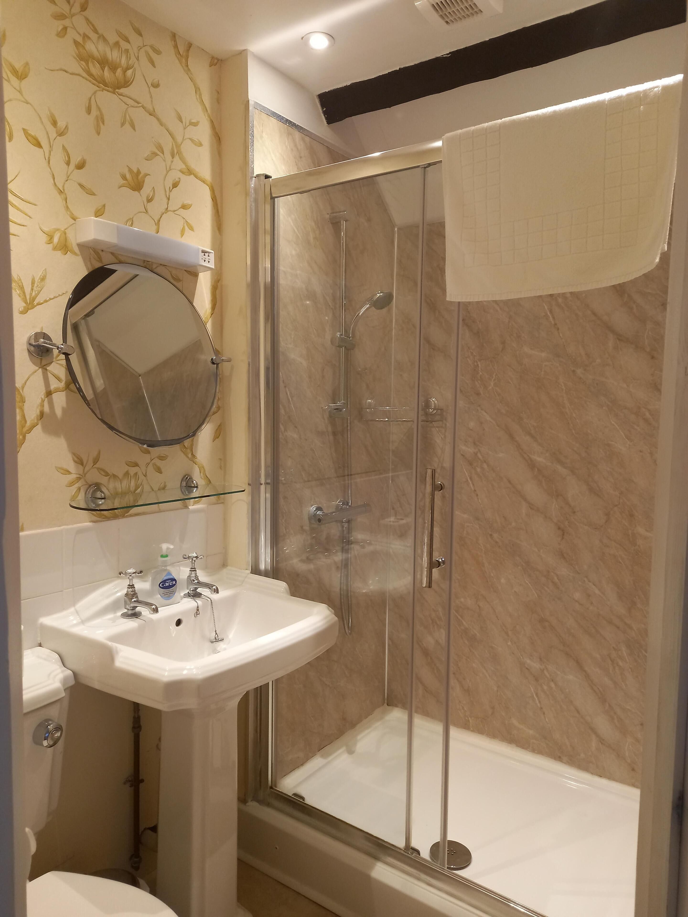 Un baño con ducha envuelta en vidrio, un lavabo blanco con espejo y un inodoro.