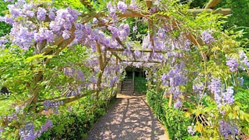 Jardín