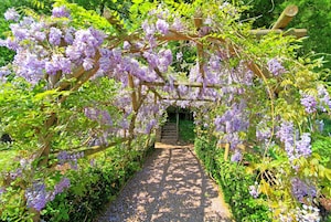 Jardín