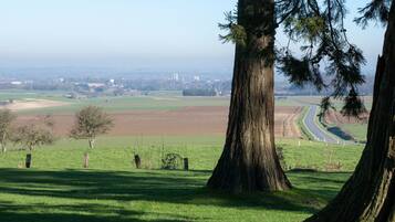 Ein grünes Feld mit Bäumen und einer Straße in der Ferne.
