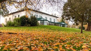 A building with a green roof and white walls, surrounded by a grassy area with fallen leaves. - Logis _ Hotel Restaurant La Sapiniere (Wisques)