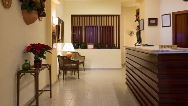 Un área de recepción con mostrador de madera, una silla, una mesa con lámpara y plantas en macetas.