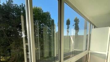 A room with large windows, a green carpet, and a white wall.