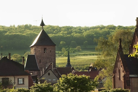Vista desde la propiedad