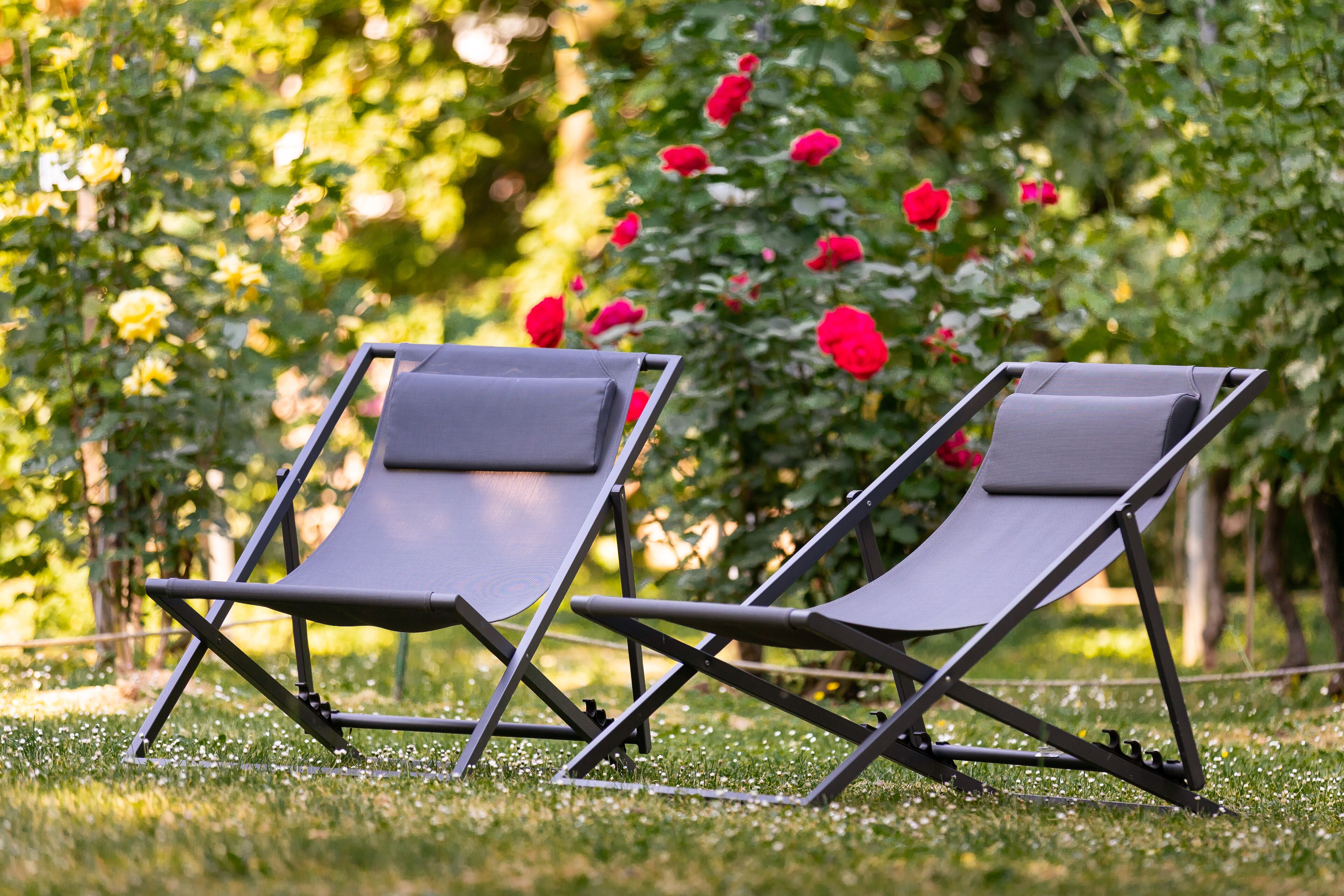 Photo - Hôtel Diana Restaurant & Spa by HappyCulture