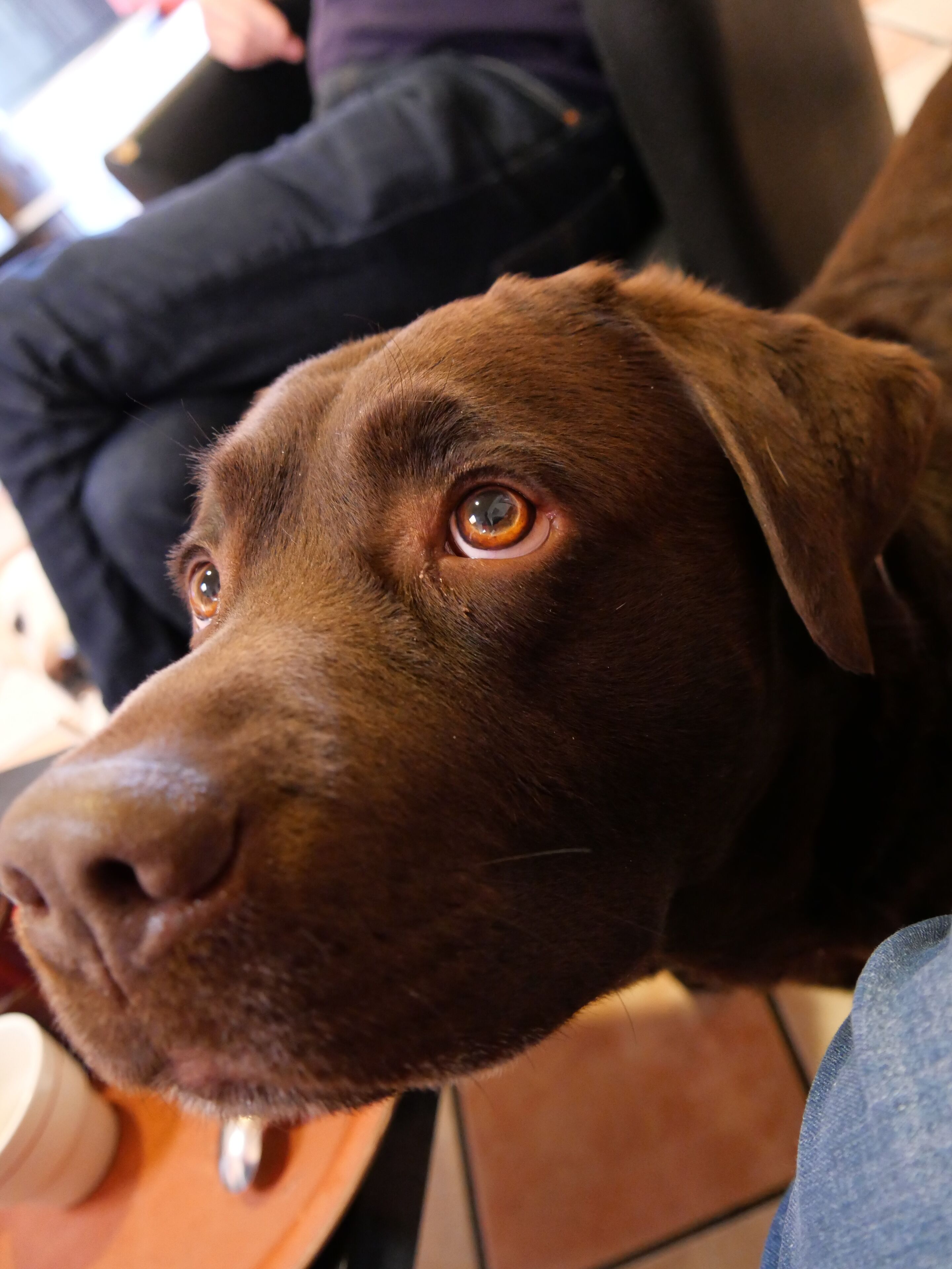 Photo - Cit'Hotel Escatel