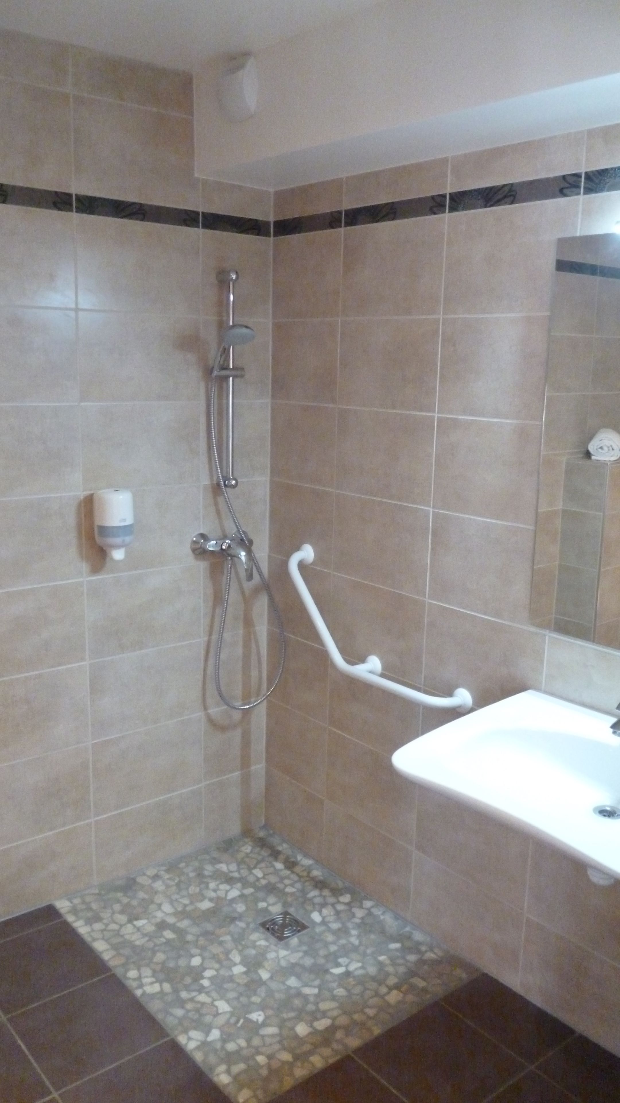 A bathroom with a shower, a handrail, a sink, and a soap dispenser.