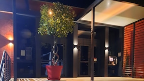 A set of concrete steps leading to a covered area with a potted plant and a vending machine.