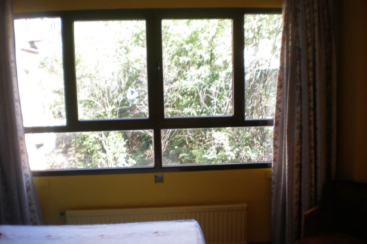 Double Room (2 Single Beds,Interior Patio View) | View from room