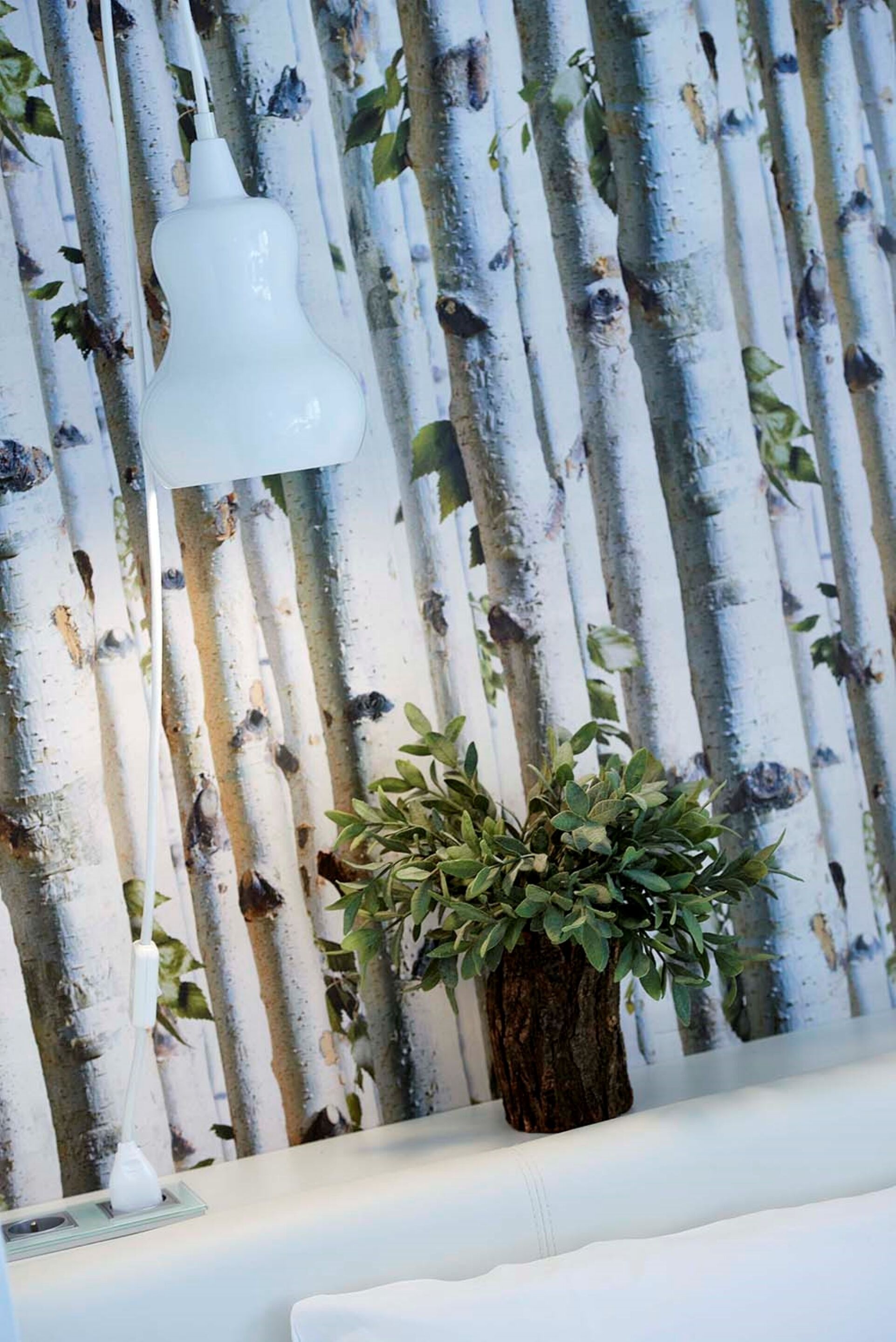 Un mur composé de lattes de bois verticales, avec une plante en pot placée au premier plan.