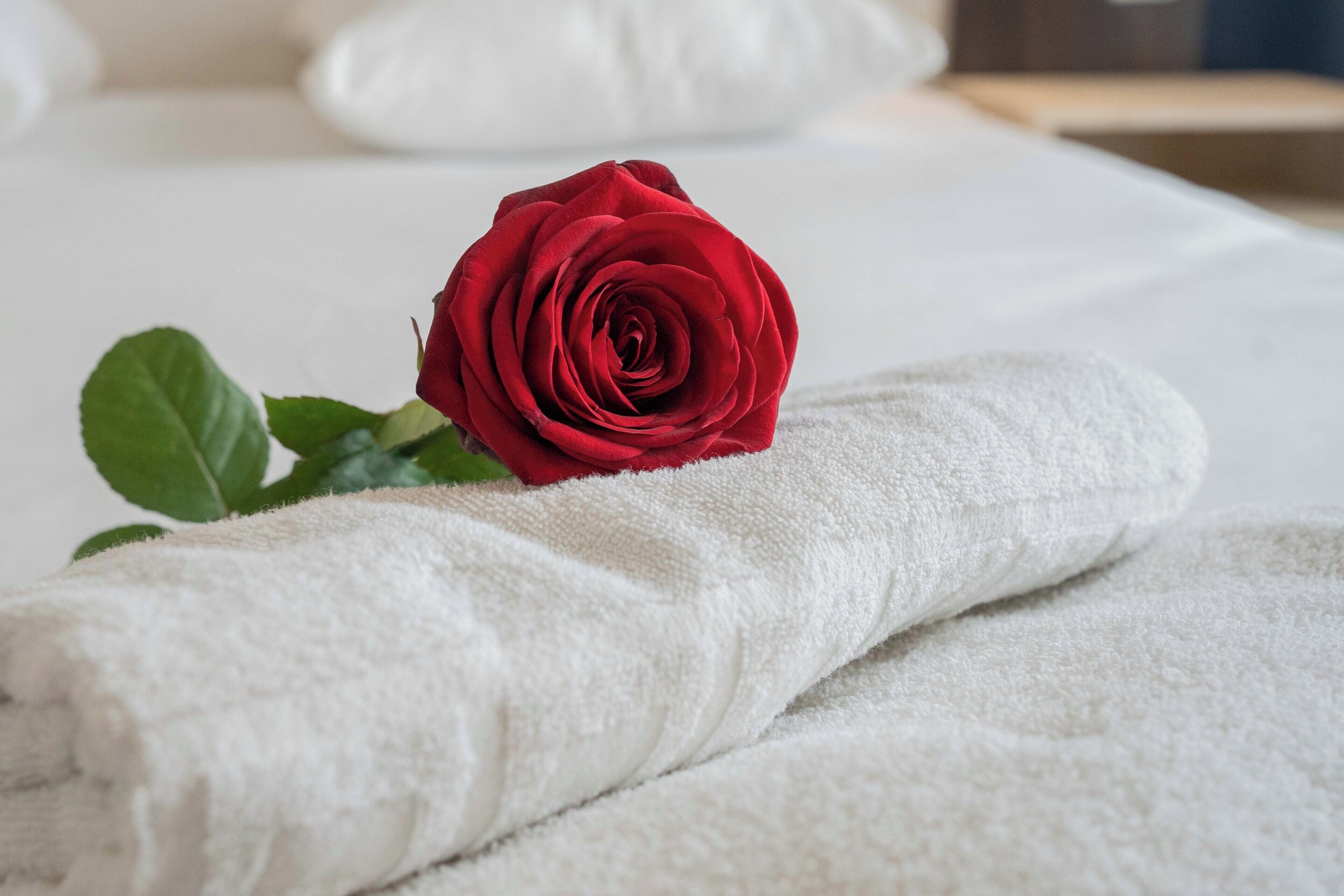 Photo - HOTEL l'EAUBONNE