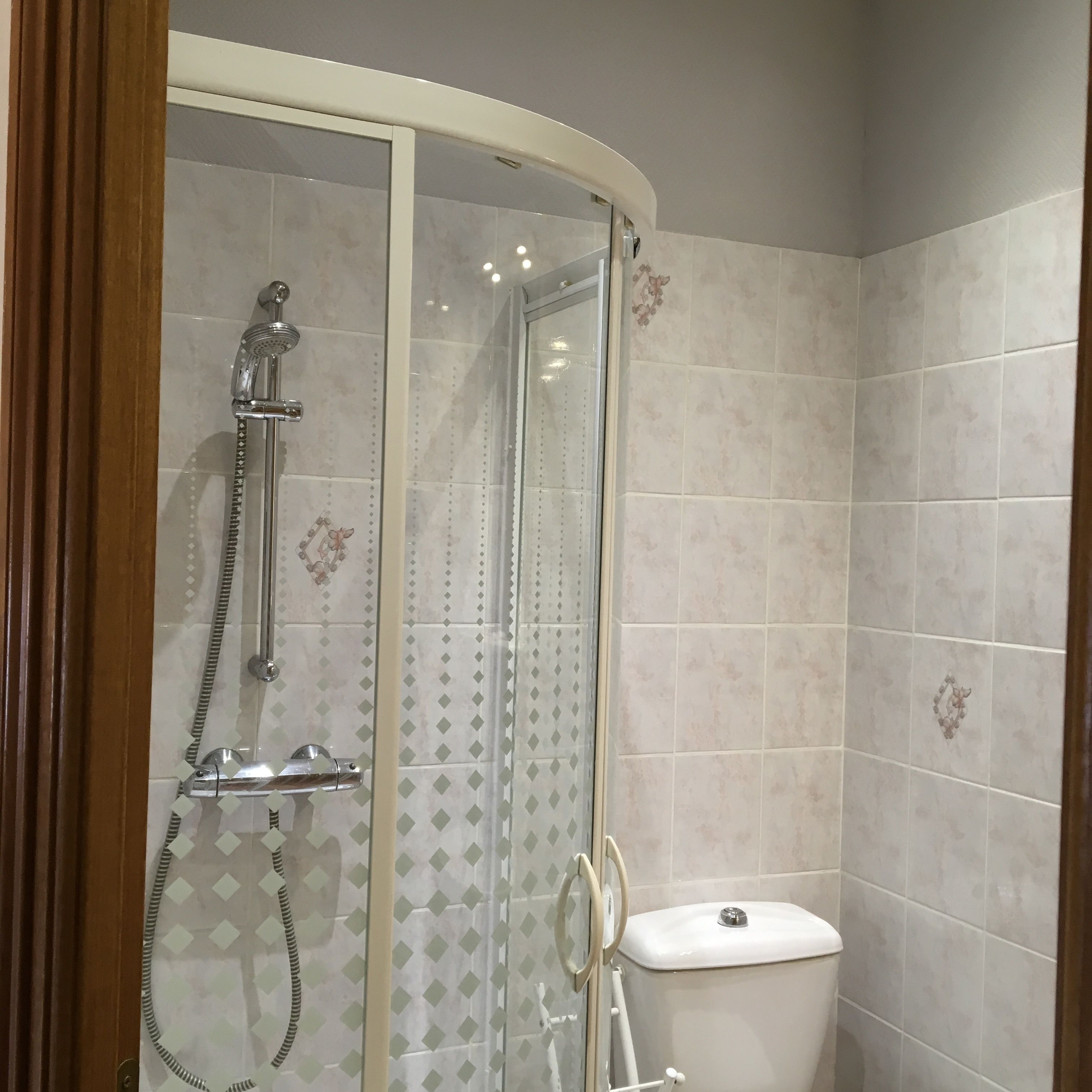 A shower with a glass door, a handheld showerhead, and a toilet in a bathroom with patterned tiles.