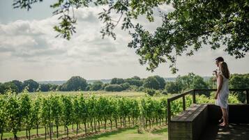 Vineyard