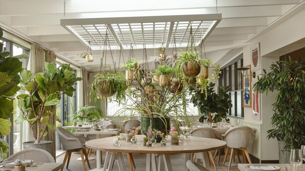 Un comedor con una mesa redonda, sillas, plantas colgantes y un techo con diseño de cuadrícula.