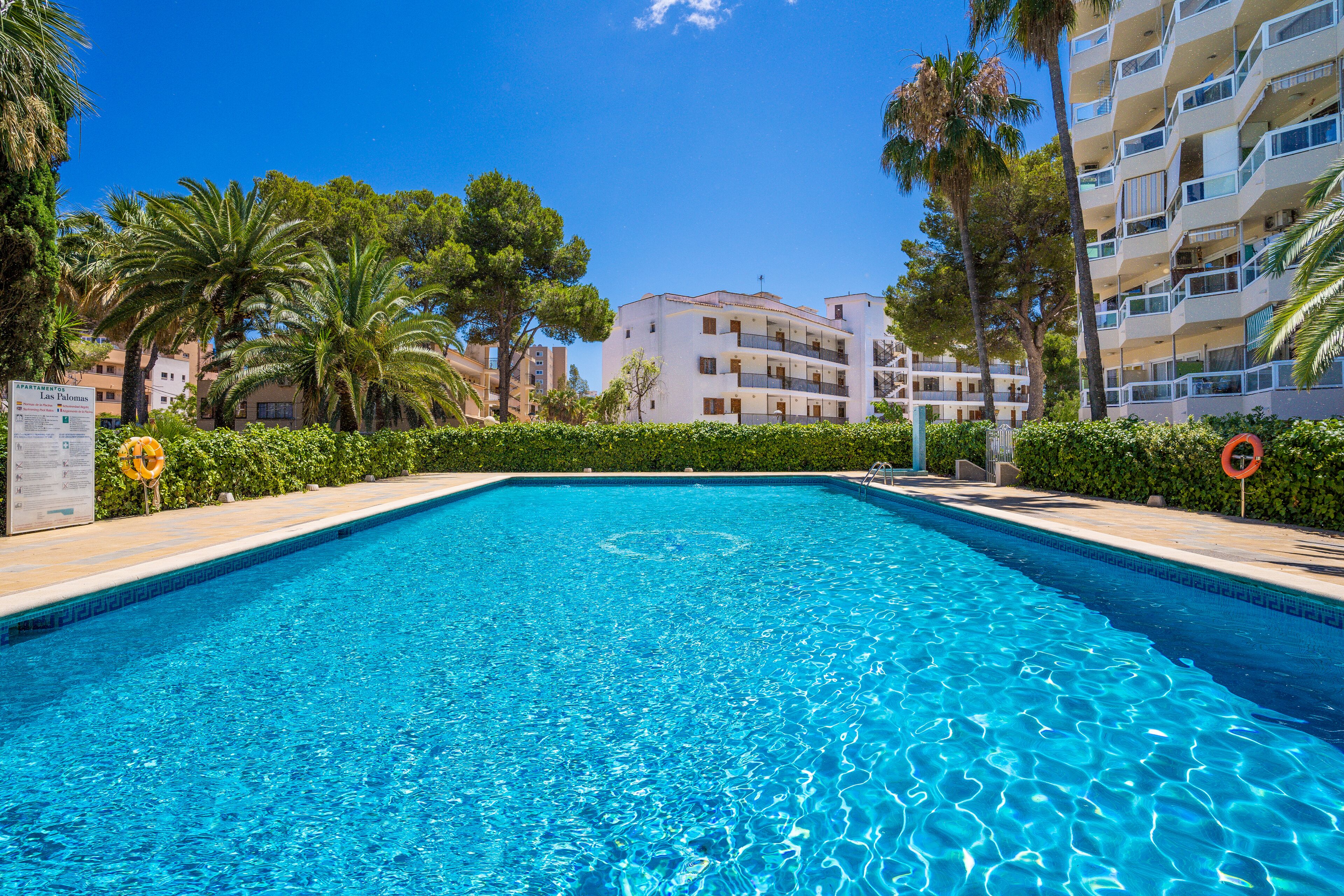 Hồ bơi ngoài trời 