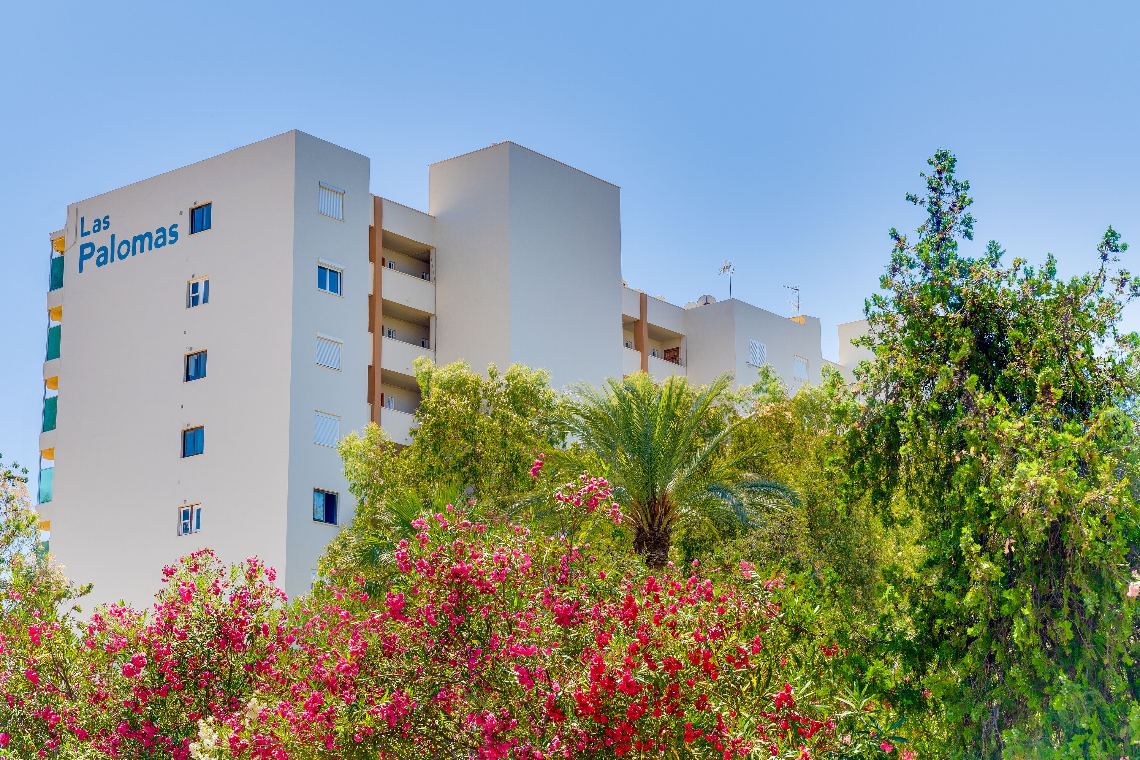 Un hotel de varios pisos llamado 'Las Palomas', con balcones y un jardín exuberante al frente.