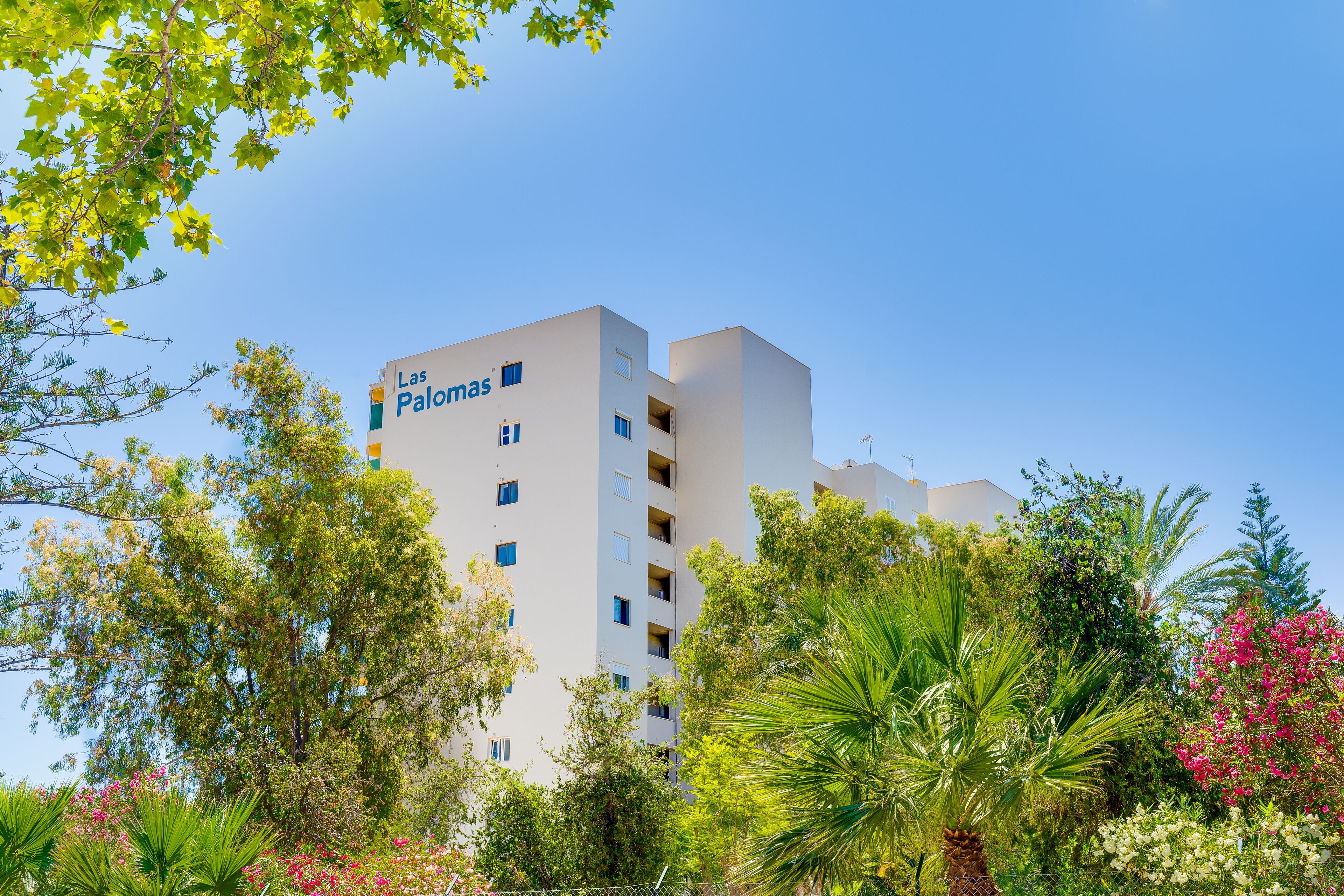 A modern hotel building named "Las Palmas" with multiple balconies and surrounded by lush greenery and flowering plants.