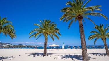 Las Palomas Apartments Econotels