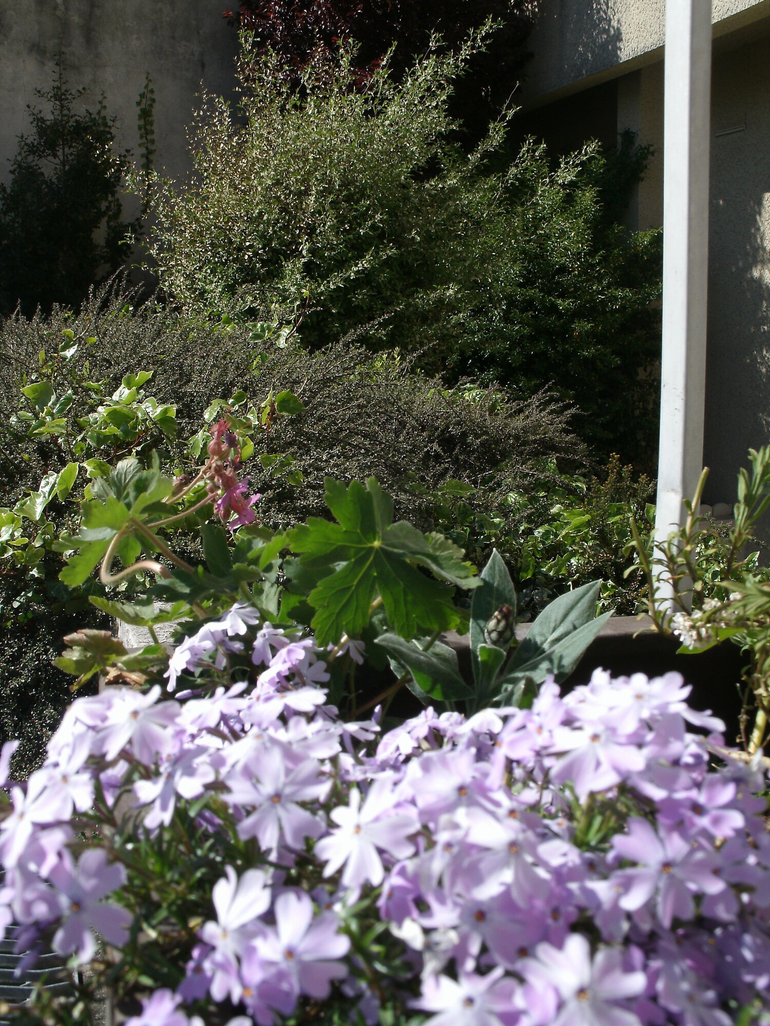 فنادق بتصنيف نجوم (3)