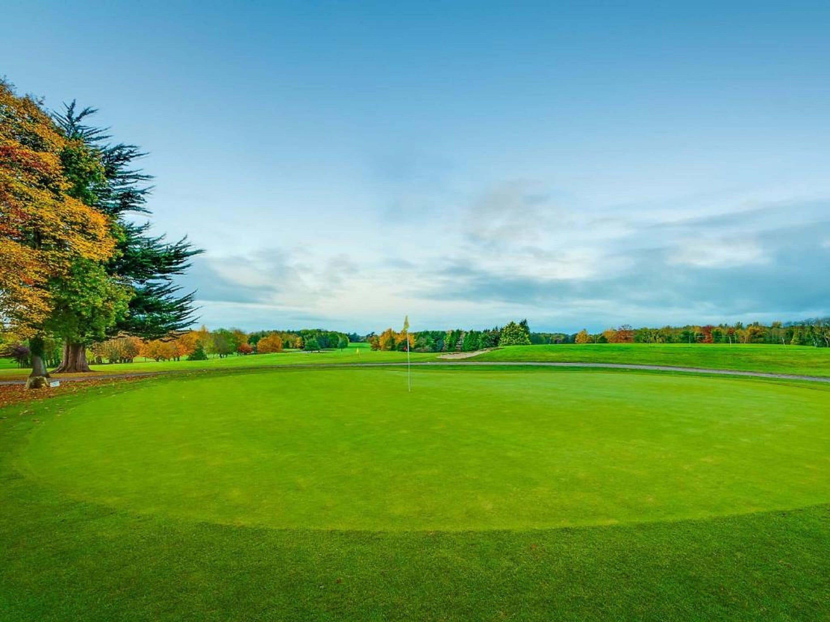 Um campo de golfe com uma bandeira no centro, rodeado por grama bem cuidada e árvores com folhagem de outono.