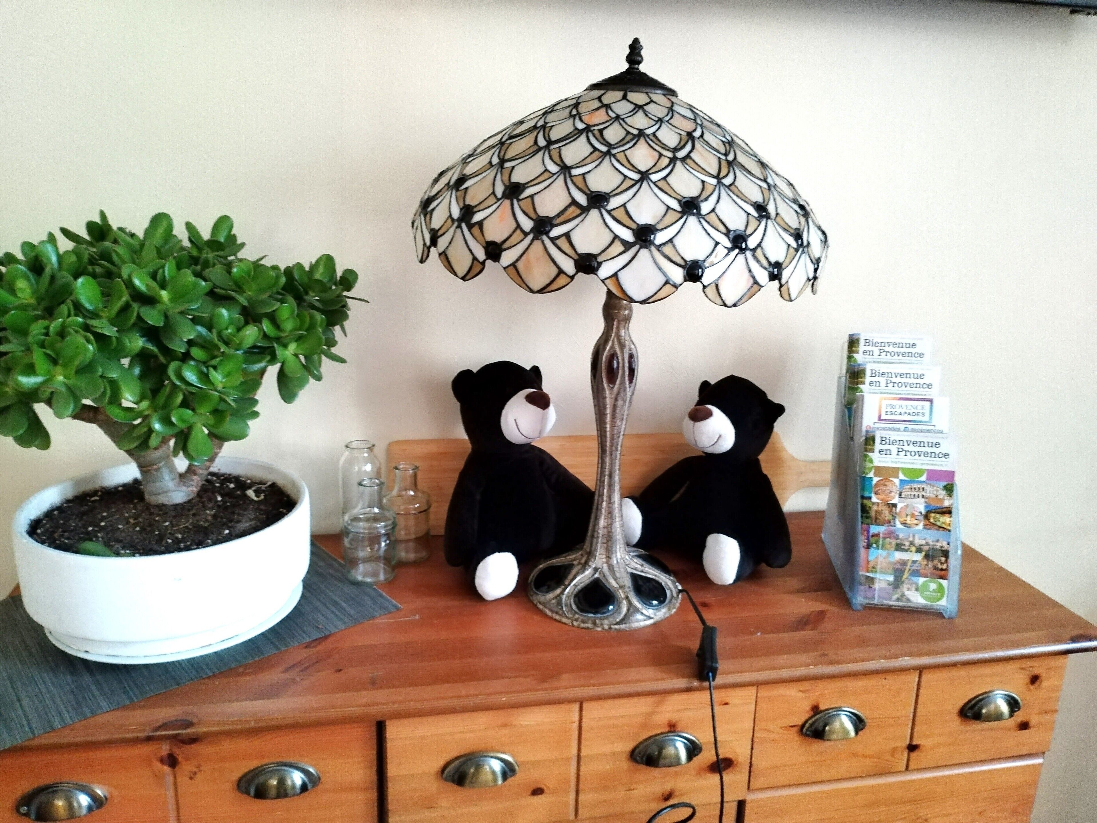 A wooden dresser with a potted plant, a decorative lamp, two plush toys, and a brochure titled "Bienvenue en Provence".