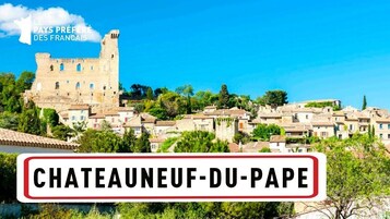 Châteauneuf-du-Pape, con un castillo histórico y edificios tradicionales.