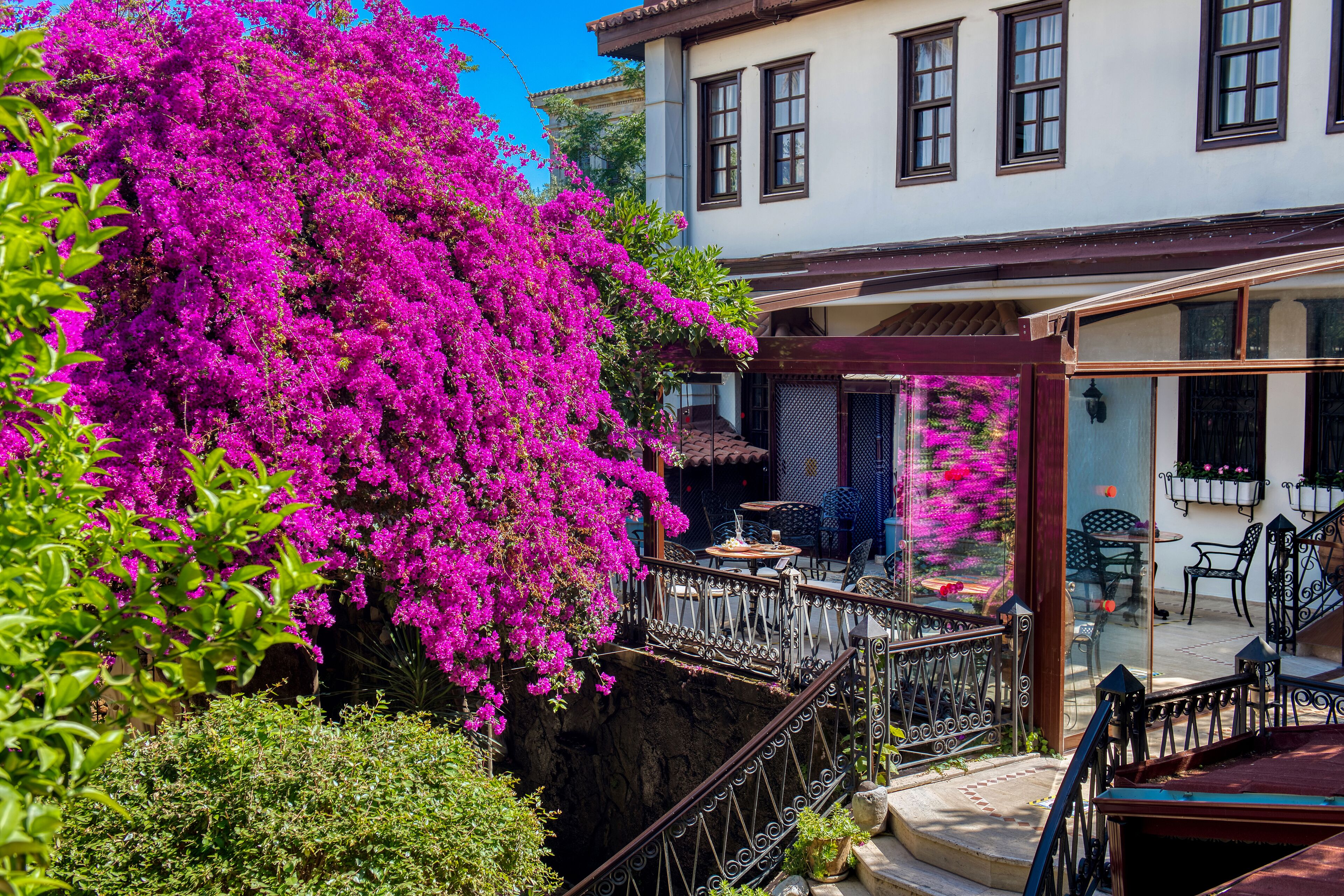 Un edificio con balcón, mobiliario exterior y vistas a un árbol de flores rosadas.